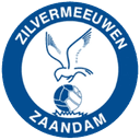 Zilvermeeuwen